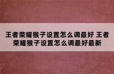 王者荣耀猴子设置怎么调最好 王者荣耀猴子设置怎么调最好最新